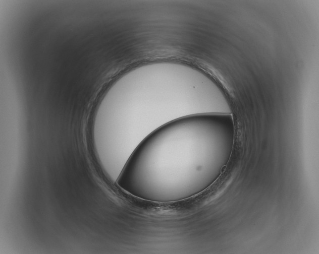 X0000111800589200907230957