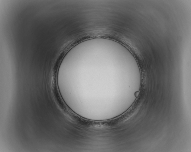 X0000111800590200907230957