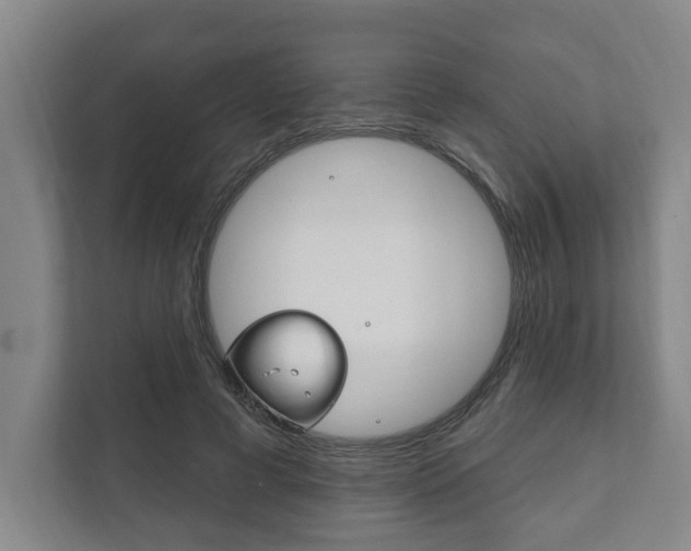 X0000111800593200907230957