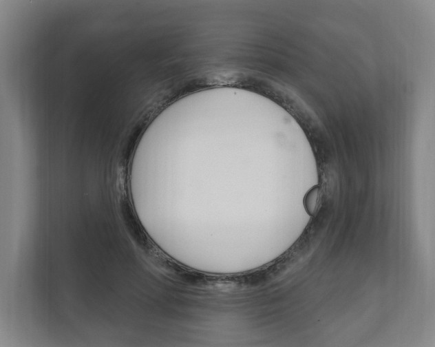 X0000111800598200907230957