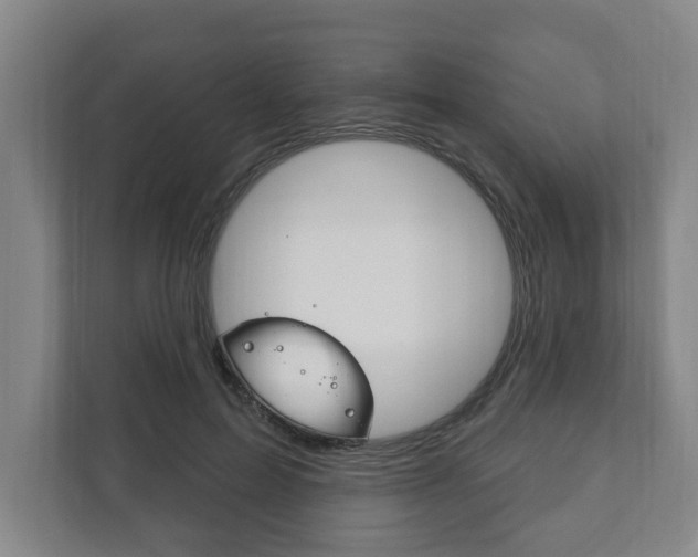 X0000111800599200907230957