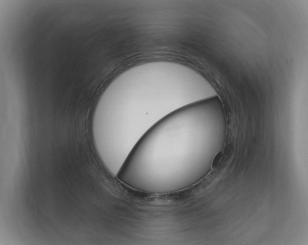 X0000111800601200907230956