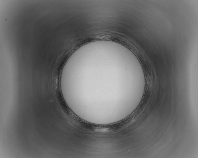 X0000111800602200907230956
