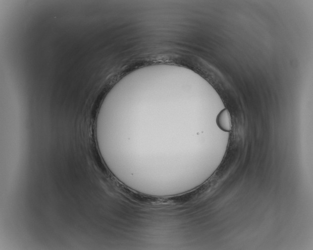 X0000111800603200907230956