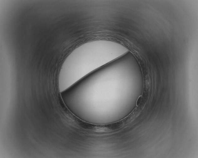 X0000111800605200907230956