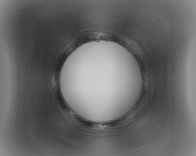 X0000111800607200907230956