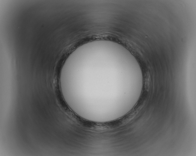 X0000111800608200907230956