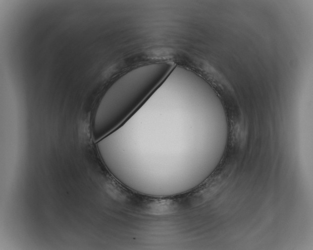 X0000111800609200907230956