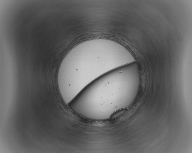 X0000111800613200907230956