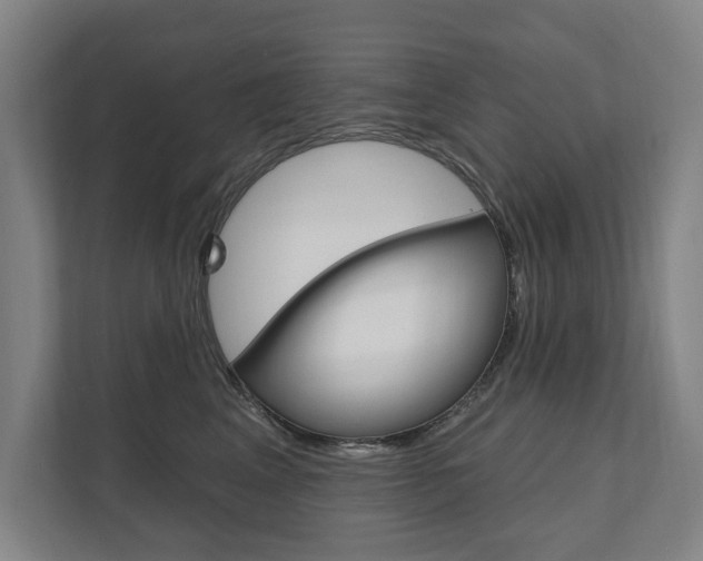 X0000111800617200907230956