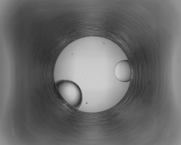 X0000111800621200907230956