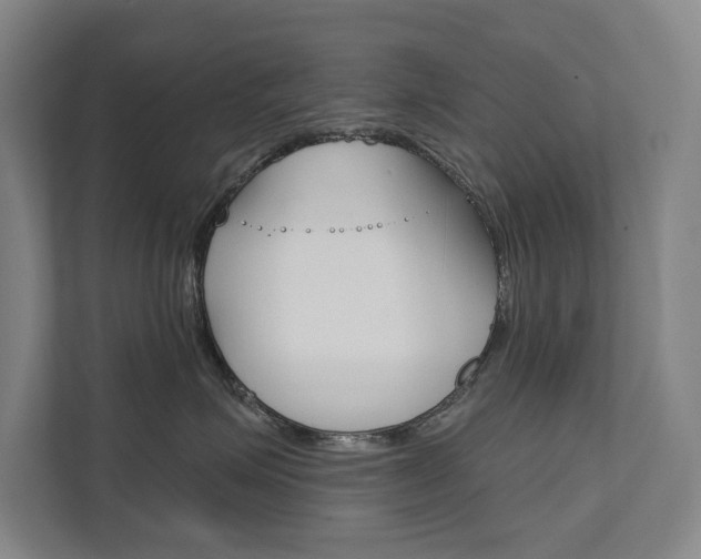 X0000111800623200907230956