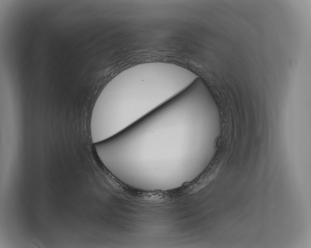 X0000111800624200907230956