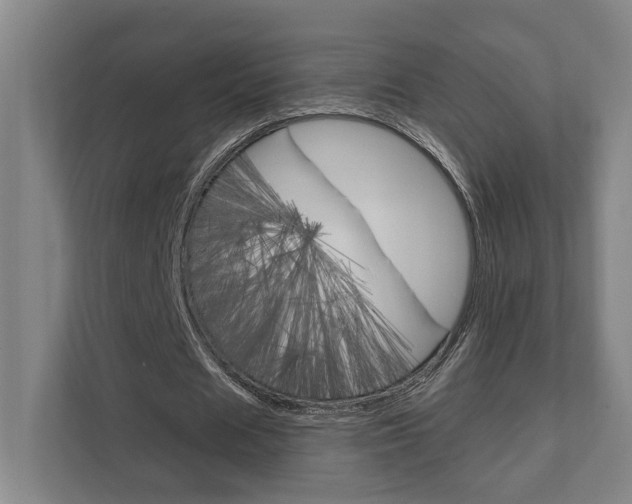 X0000111800625200907230956