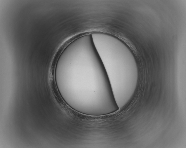 X0000111800628200907230956
