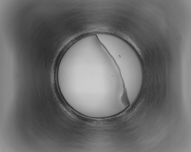 X0000111800629200907230956