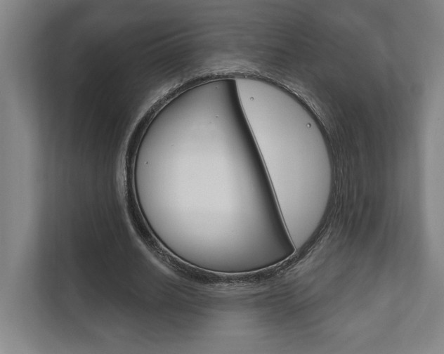 X0000111800630200907230956