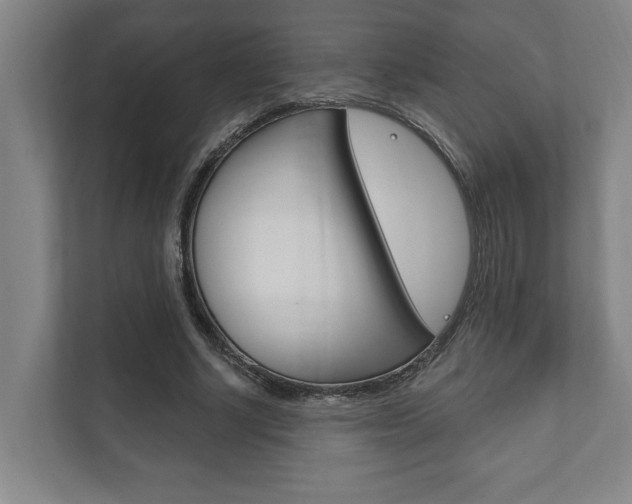 X0000111800634200907230956