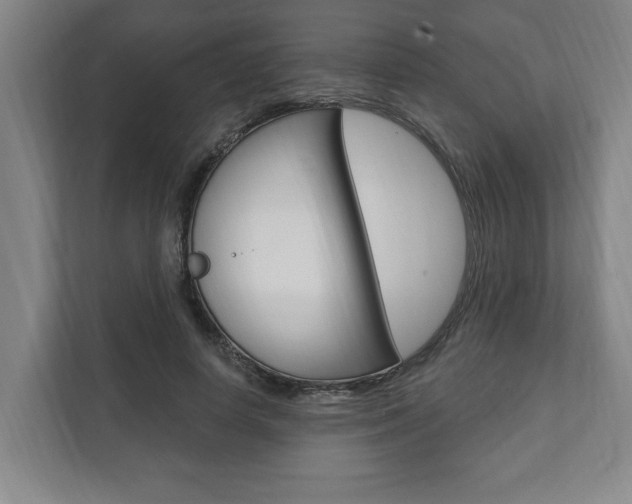 X0000111800642200907230956