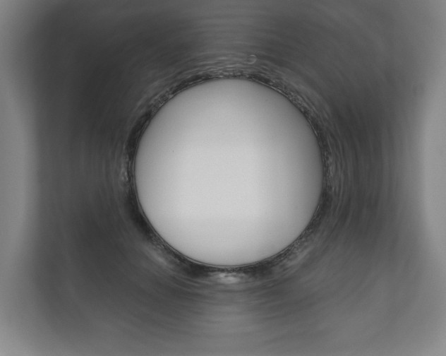 X0000111800654200907230956