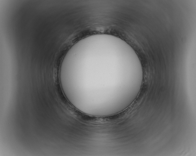 X0000111800656200907230956