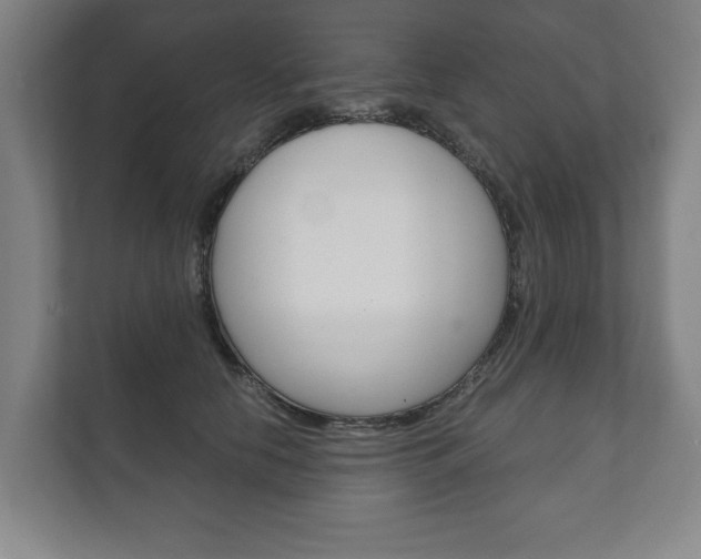 X0000111800658200907230956