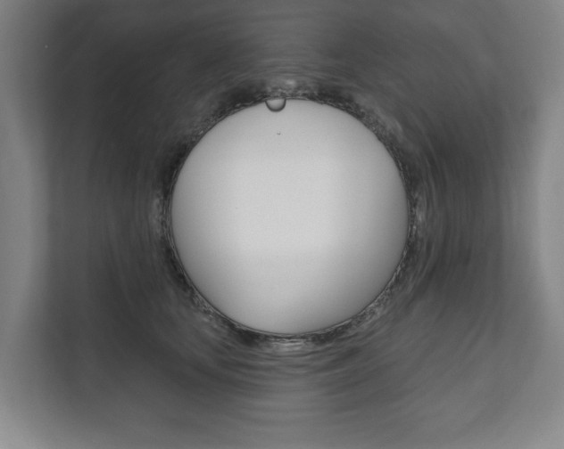 X0000111800659200907230956