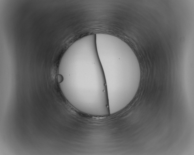 X0000111800665200907230956