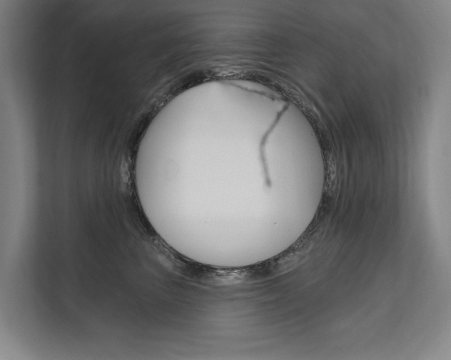X0000111800667200907230956