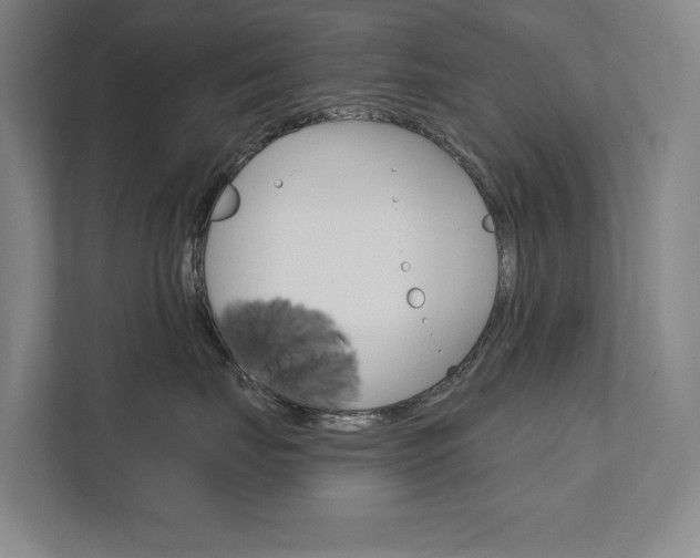 X0000111800671200907230956