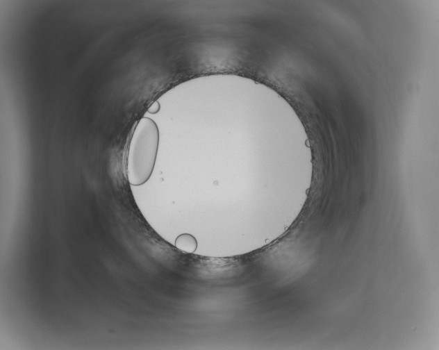 X0000111800672200907230956