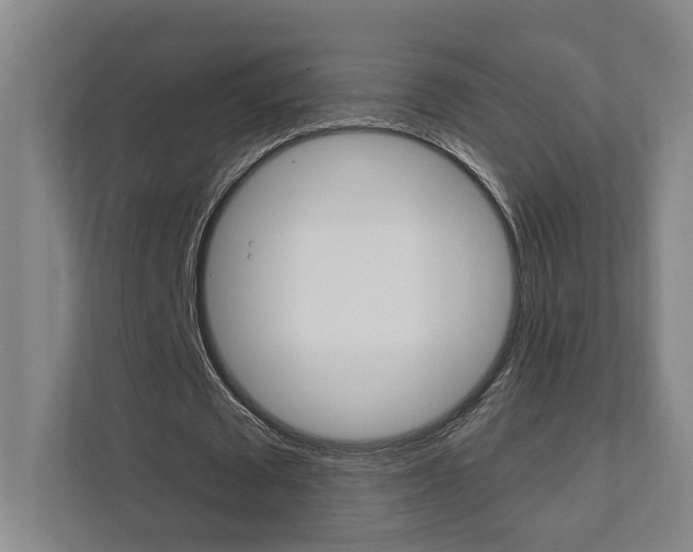 X0000111800673200907230956