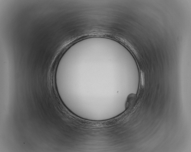 X0000111800675200907230956