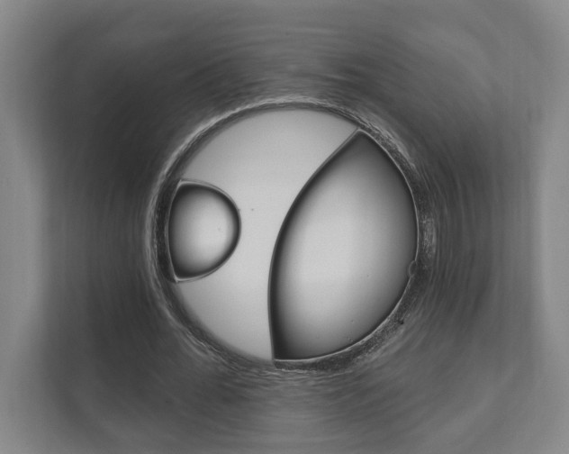 X0000111800676200907230955