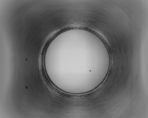 X0000111800678200907230955