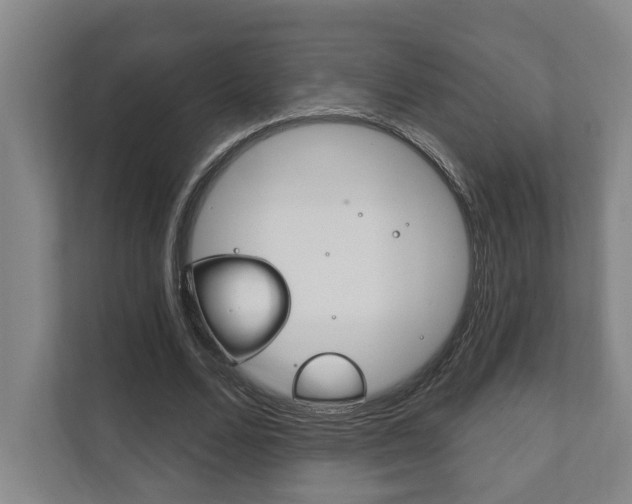 X0000111800680200907230955