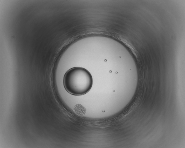 X0000111800681200907230955
