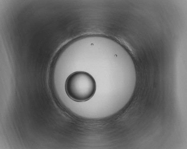 X0000111800684200907230955
