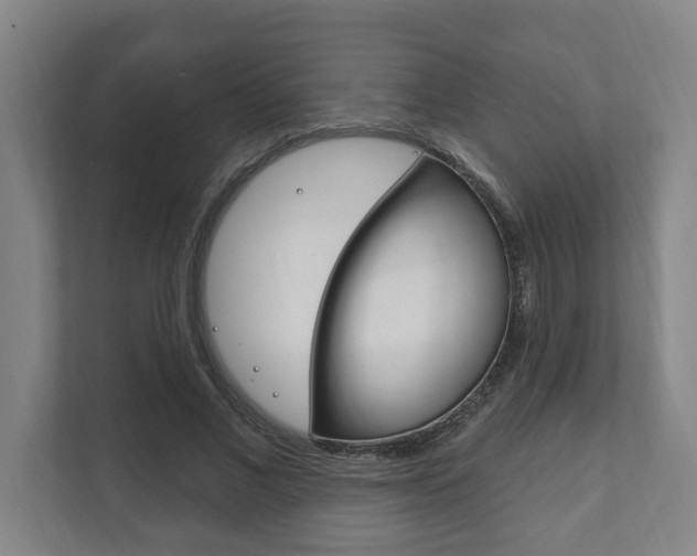 X0000111800685200907230955
