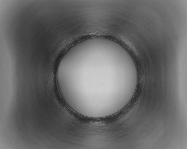 X0000111800689200907230955