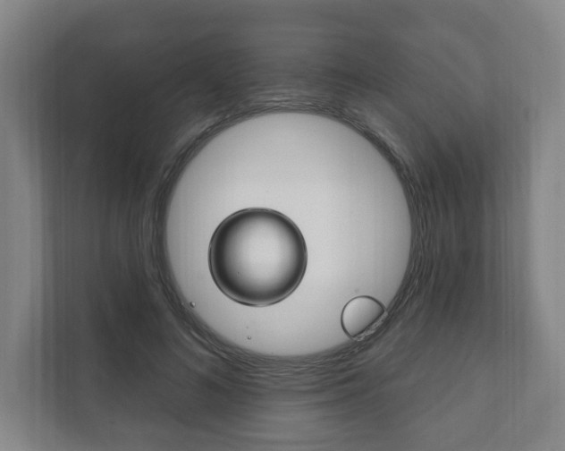 X0000111800692200907230955