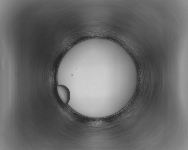 X0000111800695200907230955