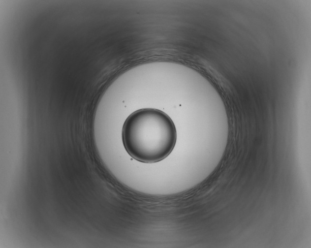 X0000111800696200907230955
