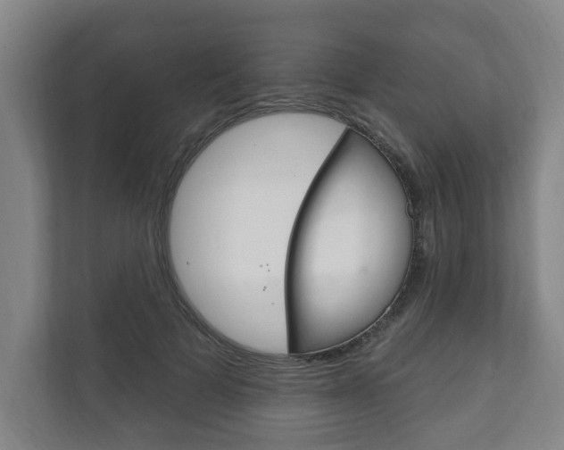 X0000111800697200907230955