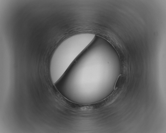 X0000111800700200907230955