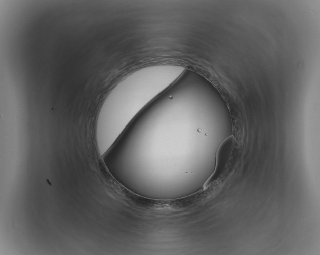 X0000111800704200907230955