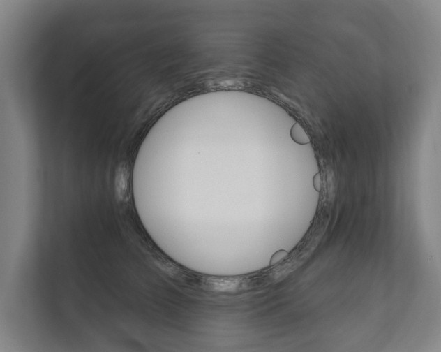 X0000111800709200907230955