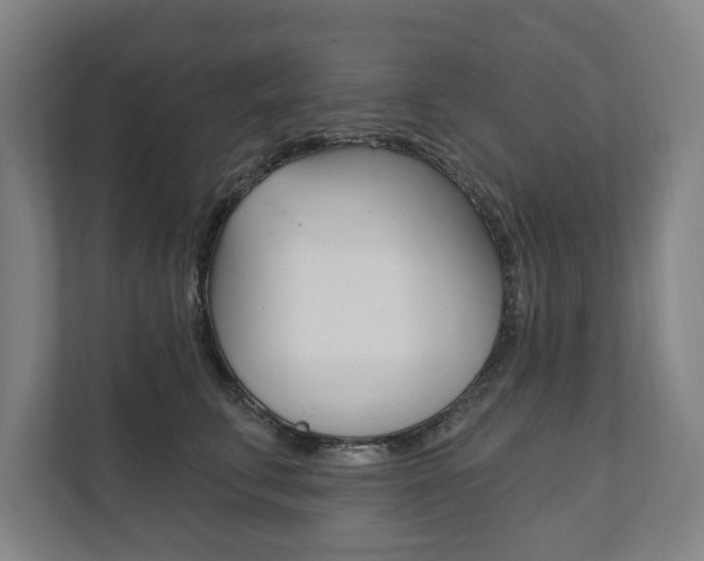 X0000111800711200907230955
