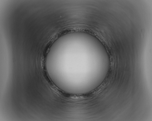 X0000111800712200907230955