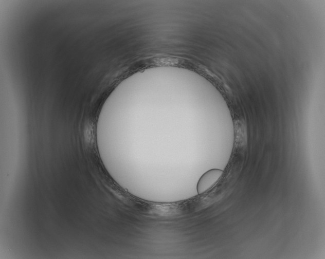 X0000111800713200907230955